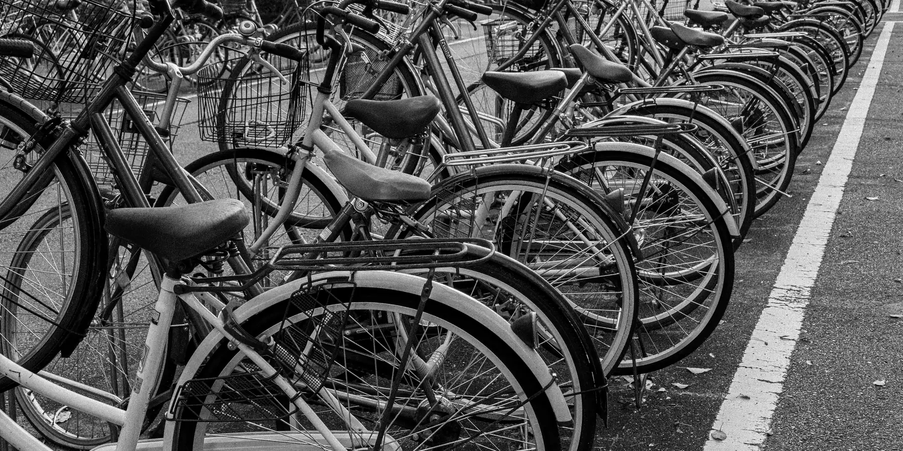 Row of parked bicycles beside a painted white line on pavement