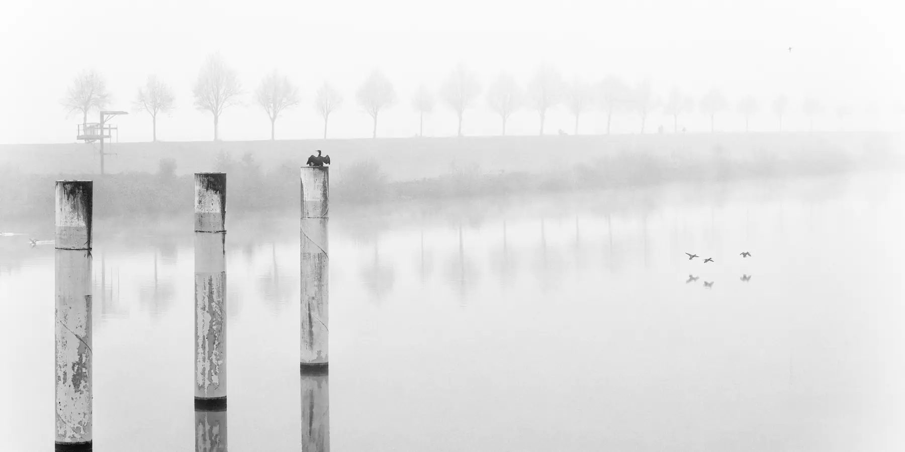 Three mooring posts in misty still water before a distant line of bare trees